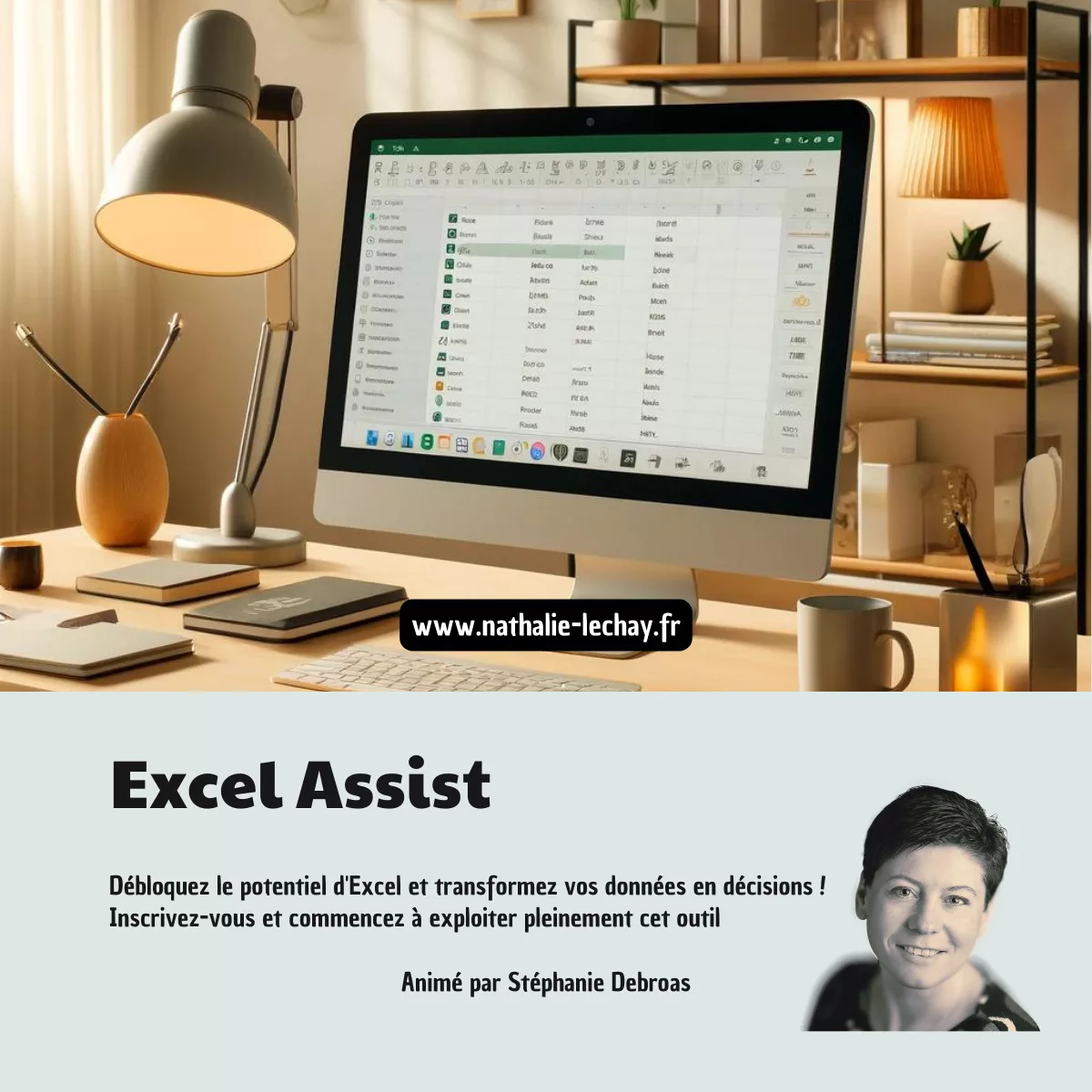 Excel Assist Nathalie Lechay